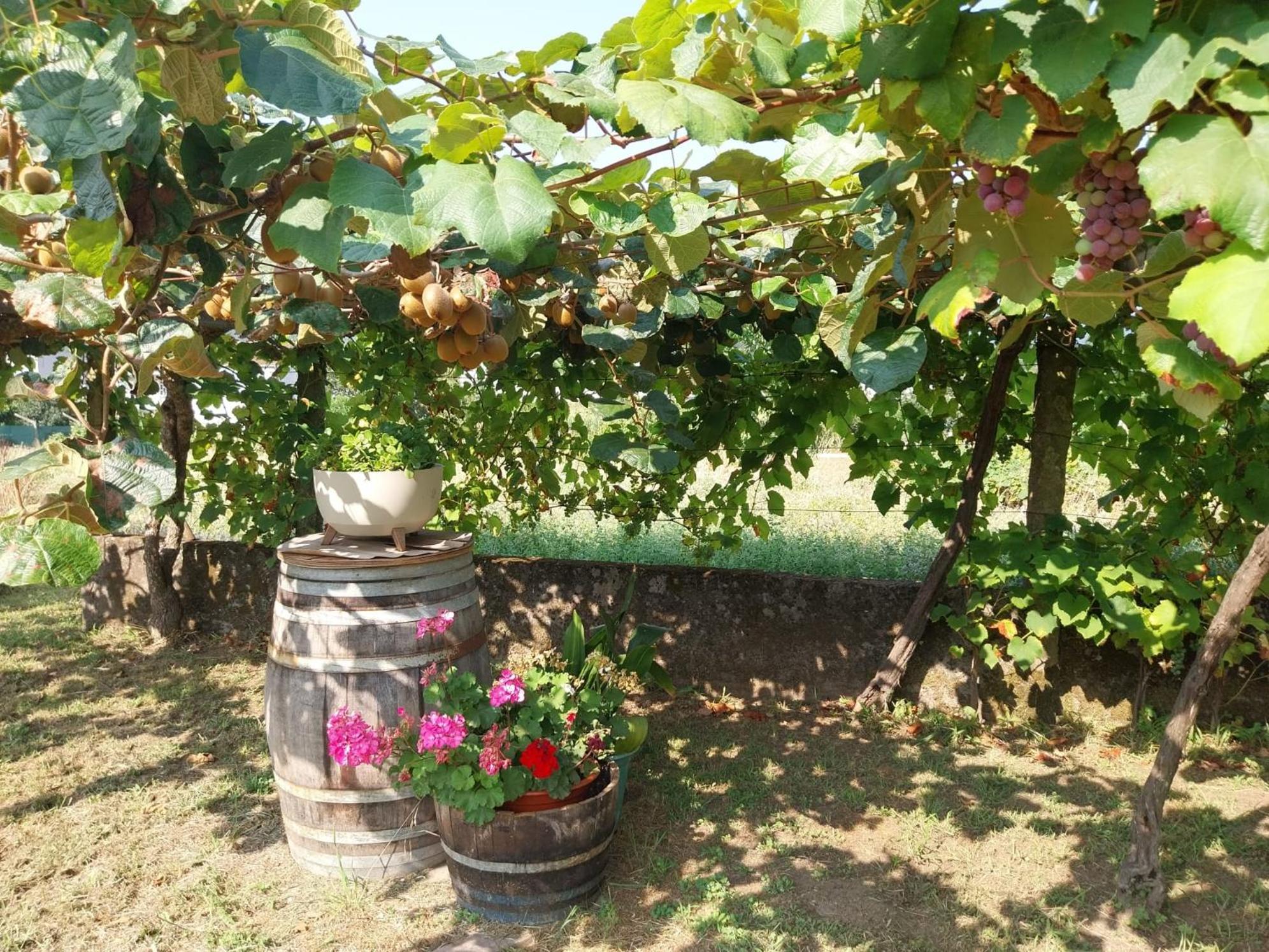O Berce Padron Casa Rural المظهر الخارجي الصورة